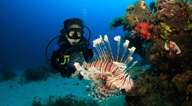 Scuba Diving in Andaman: A Complete Beginner Guide